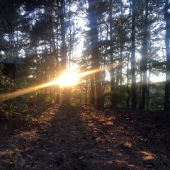 Dreaming in Decin – The Adventures of Sea Pilot