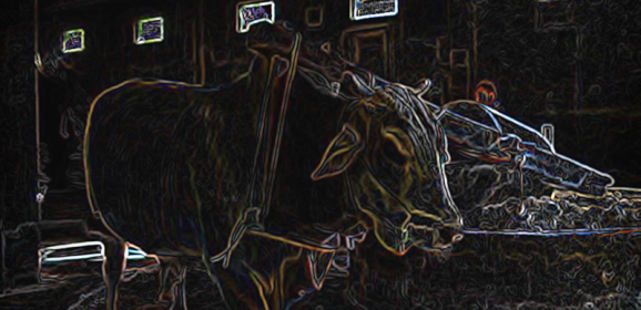New Music from ANIMISM – TIERFABRIK