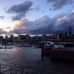 Final Echoes at the Elbphilharmonie