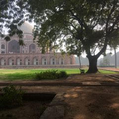 Back on the Road, Nomadic in Delhi
