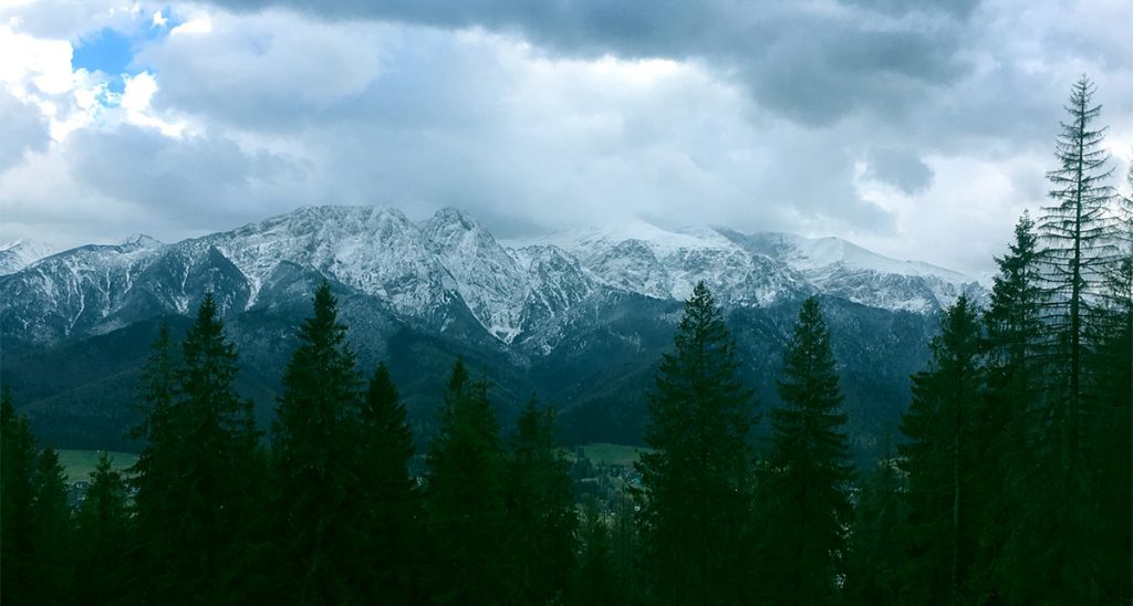 From the top of Zapokane