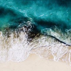 Plan Sea The Book: Update